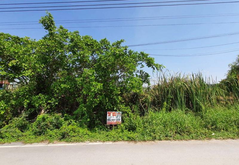 รูปที่2 ต้องการขายที่ดินเปล่า บ้านใหม่ เมืองปทุมธานี ราคา 5,500,000 บาท