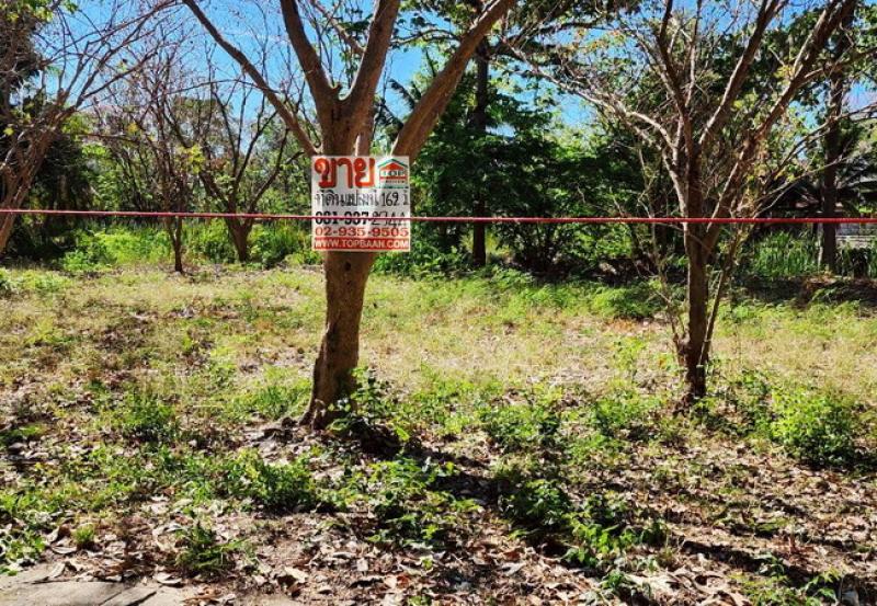 รูปที่2 ต้องการขายที่ดินเปล่า หนองขนาน เมืองเพชรบุรี ราคา 1,600,000 บาท
