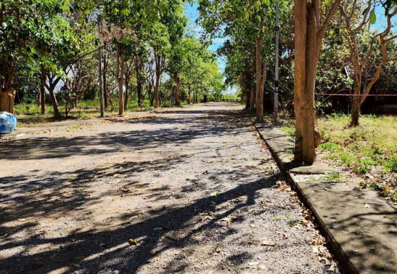รูปที่4 ต้องการขายที่ดินเปล่า หนองขนาน เมืองเพชรบุรี ราคา 1,600,000 บาท