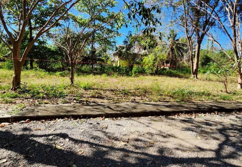 รูปที่5 ต้องการขายที่ดินเปล่า หนองขนาน เมืองเพชรบุรี ราคา 1,600,000 บาท