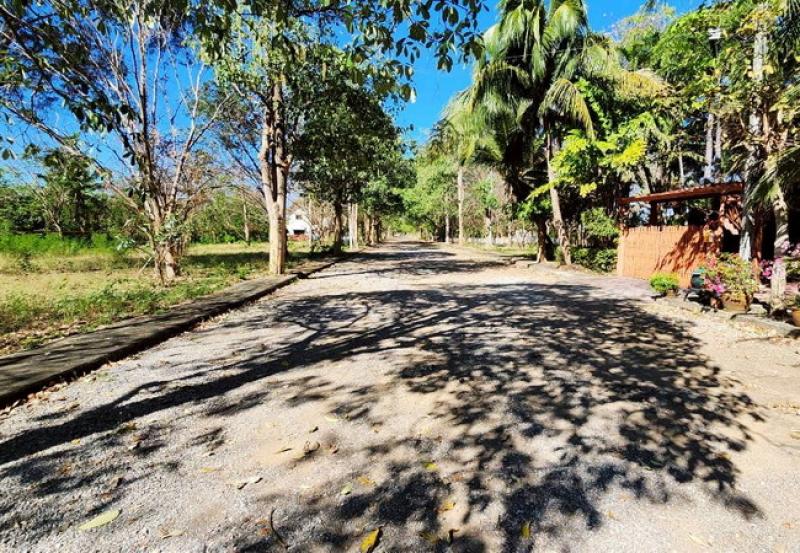 รูปที่7 ต้องการขายที่ดินเปล่า หนองขนาน เมืองเพชรบุรี ราคา 1,600,000 บาท