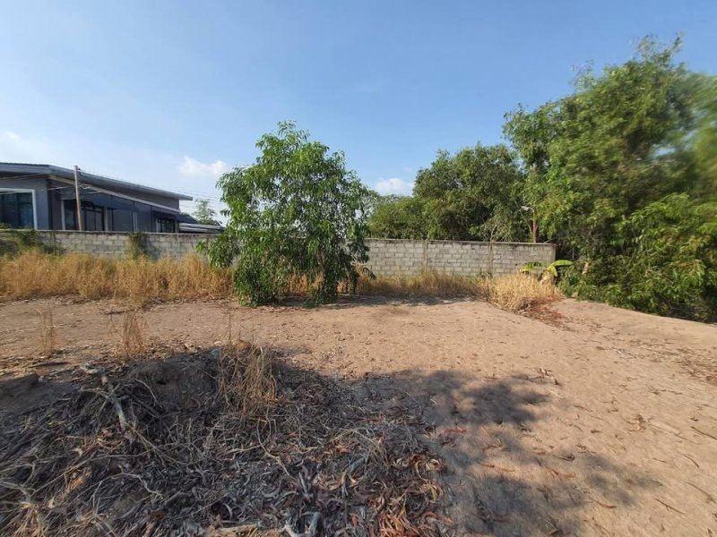รูปที่3 ต้องการขายที่ดินเปล่า คลองห้า คลองหลวง ราคา 2,200,000 บาท