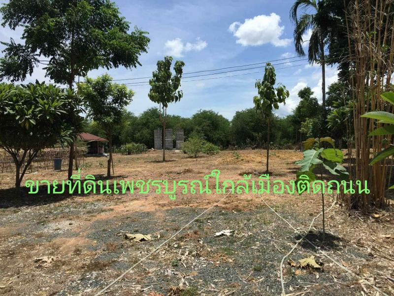 ขายที่ดิน ขายที่ดินเพชรบูรณ์ ขายที่ดินอำเภอเมือง
