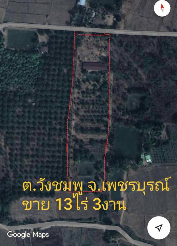 รูปที่5 ต้องการขายที่ดินเปล่า วังชมภู เมืองเพชรบูรณ์ ราคา 590,000 บาท