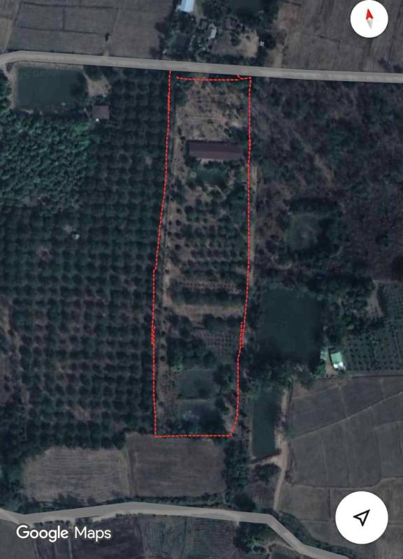 รูปที่6 ต้องการขายที่ดินเปล่า วังชมภู เมืองเพชรบูรณ์ ราคา 590,000 บาท