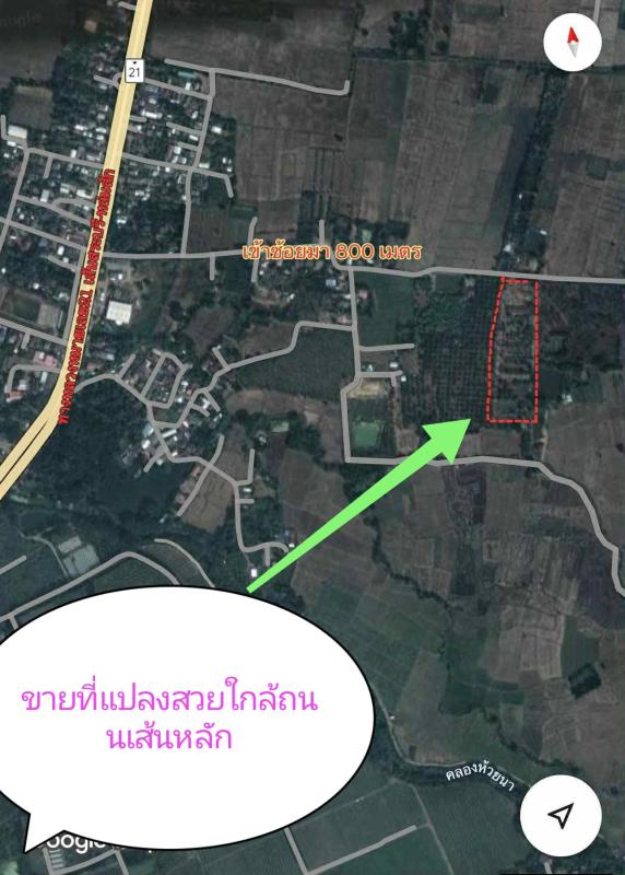 รูปที่7 ต้องการขายที่ดินเปล่า วังชมภู เมืองเพชรบูรณ์ ราคา 590,000 บาท