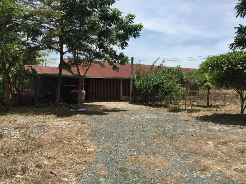 รูปที่8 ต้องการขายที่ดินเปล่า วังชมภู เมืองเพชรบูรณ์ ราคา 590,000 บาท