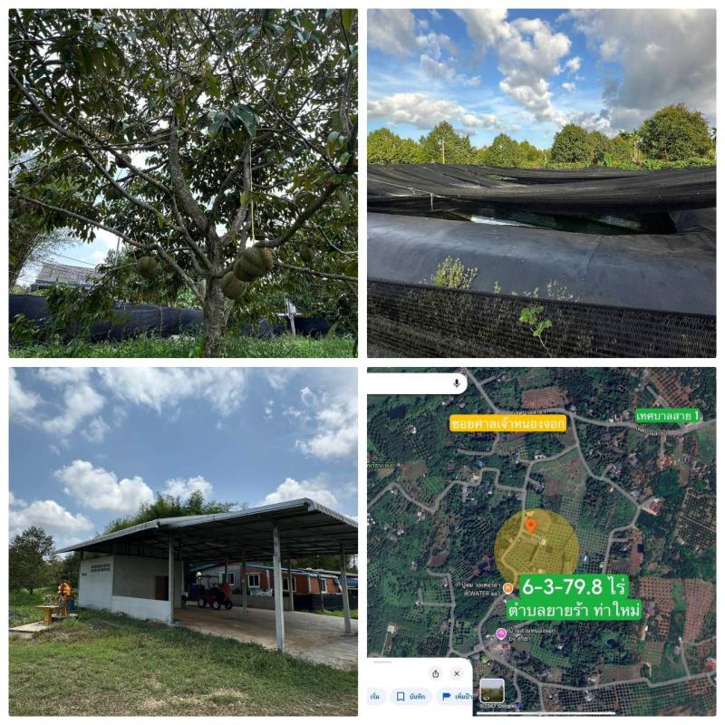รูปที่4 ต้องการขายที่ดินเปล่า ยายร้า ท่าใหม่ ราคา 18,000,000 บาท