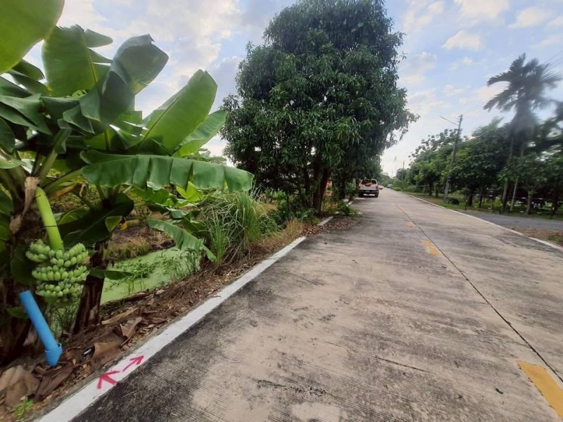 รูปที่2 ต้องการขายที่ดินเปล่า คลองห้า คลองหลวง ราคา 1,300,000 บาท