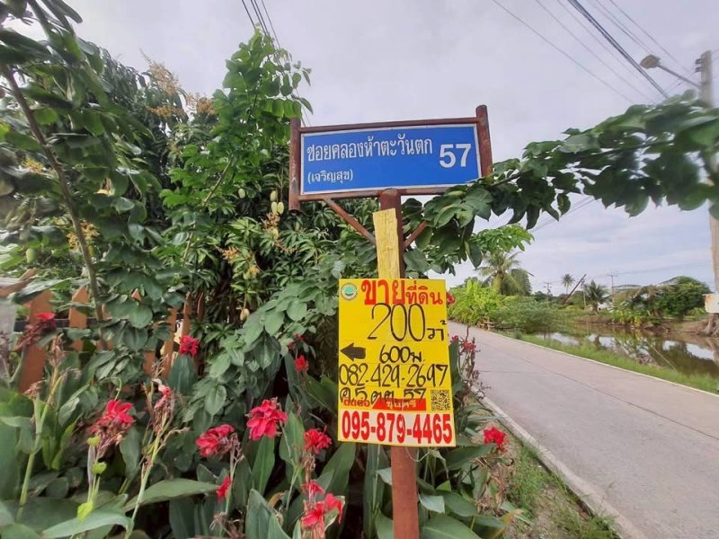 รูปที่3 ต้องการขายที่ดินเปล่า คลองห้า คลองหลวง ราคา 1,300,000 บาท