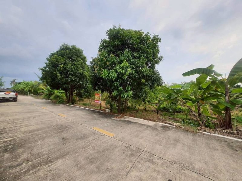 รูปที่5 ต้องการขายที่ดินเปล่า คลองห้า คลองหลวง ราคา 1,300,000 บาท
