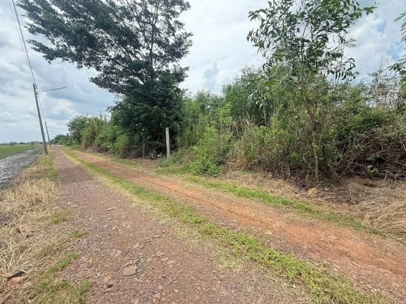 รูปที่2 ต้องการขายที่ดินเปล่า คลองห้า คลองหลวง ราคา 1,950,000 บาท