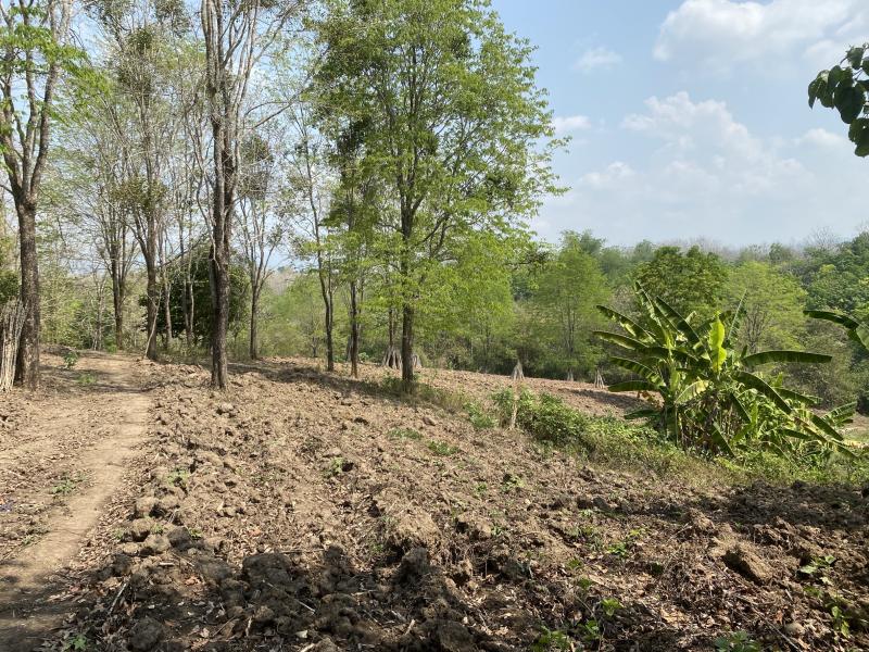 ขายที่ดิน ใกล้บ่อน้ำพุร้อนหินดาด กาญจนบุรี