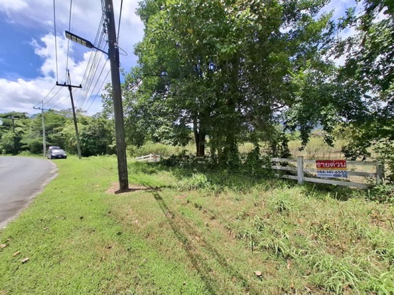 รูปที่4 ต้องการขายที่ดินเปล่า สาริกา เมืองนครนายก ราคา 4,000,000 บาท