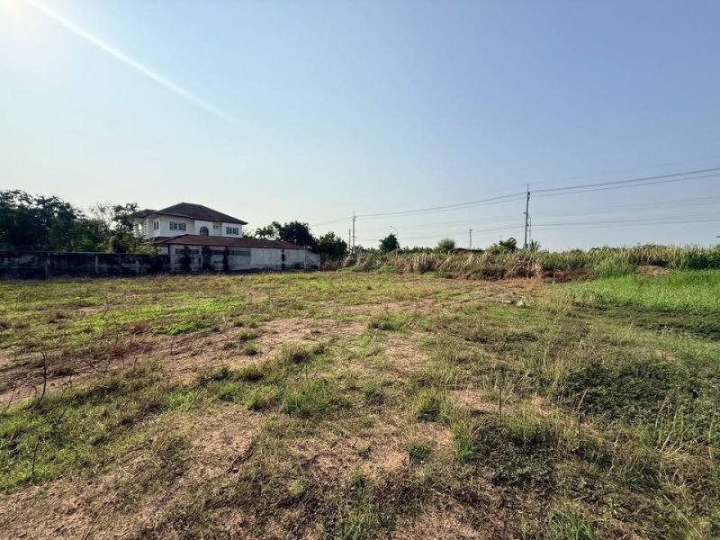 รูปที่2 ต้องการขายที่ดินเปล่า บางแม่นาง บางใหญ่ ราคา 8,000,000 บาท