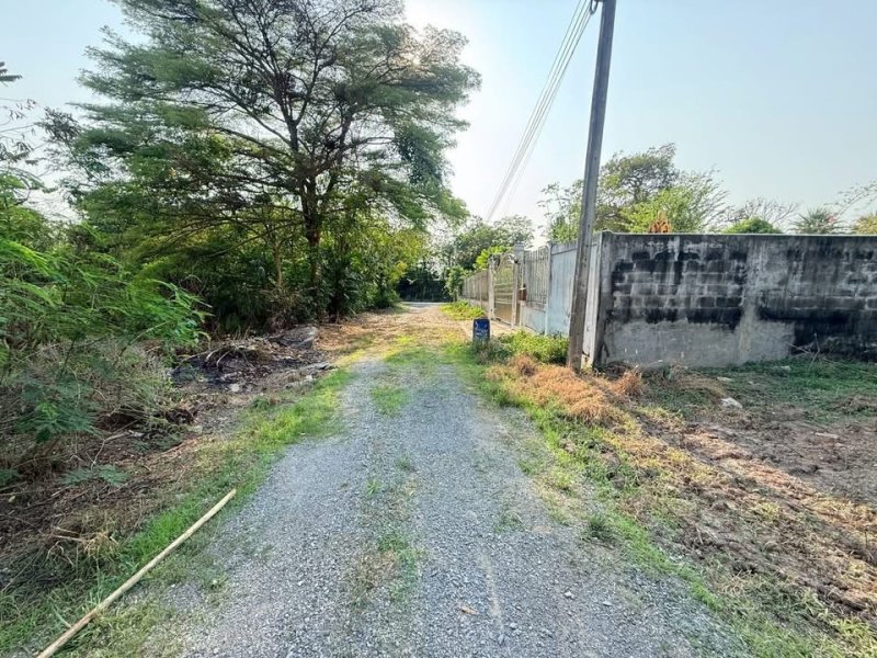 รูปที่3 ต้องการขายที่ดินเปล่า บางแม่นาง บางใหญ่ ราคา 8,000,000 บาท
