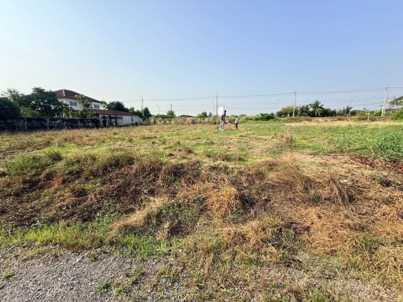 รูปที่4 ต้องการขายที่ดินเปล่า บางแม่นาง บางใหญ่ ราคา 8,000,000 บาท