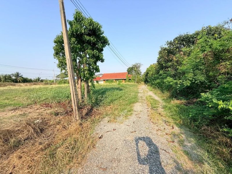 รูปที่5 ต้องการขายที่ดินเปล่า บางแม่นาง บางใหญ่ ราคา 8,000,000 บาท