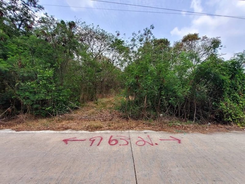 รูปที่2 ต้องการขายที่ดินเปล่า คลองหก คลองหลวง ราคา 6,100,000 บาท