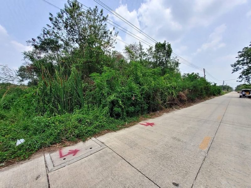รูปที่3 ต้องการขายที่ดินเปล่า คลองหก คลองหลวง ราคา 6,100,000 บาท