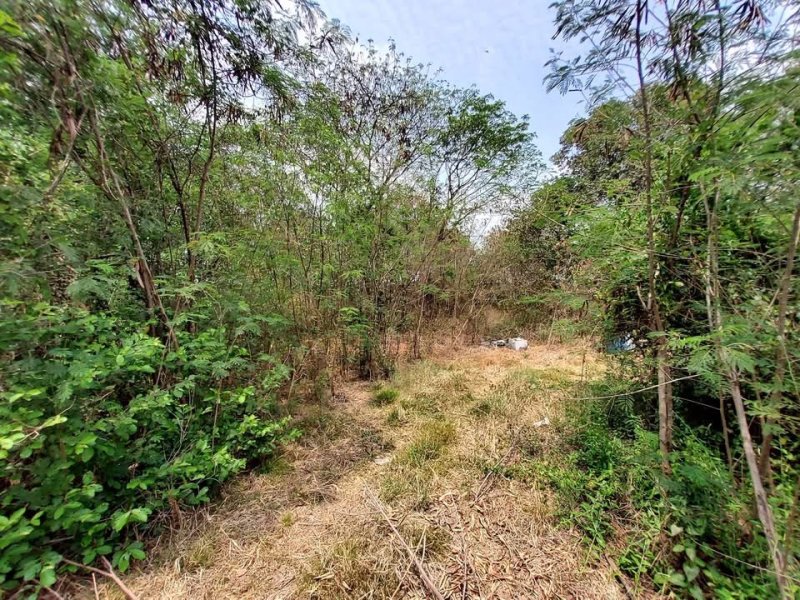 รูปที่7 ต้องการขายที่ดินเปล่า คลองหก คลองหลวง ราคา 6,100,000 บาท