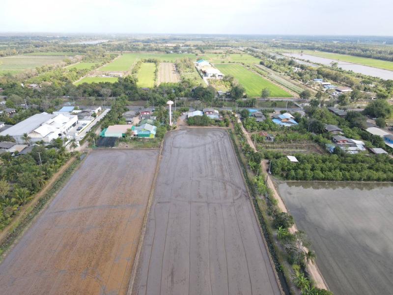 รูปที่2 ต้องการขายที่ดินเปล่า บึงชำอ้อ หนองเสือ ราคา 750,000 บาท
