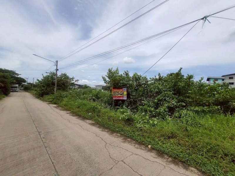 รูปที่6 ต้องการขายที่ดินเปล่า คลองสอง คลองหลวง ราคา 5,950,000 บาท