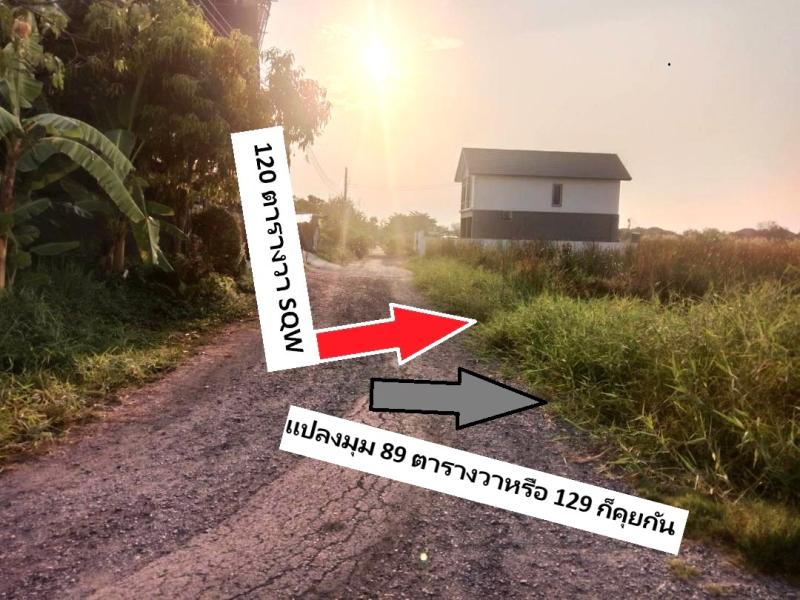 รูปภาพสินทรัพย์