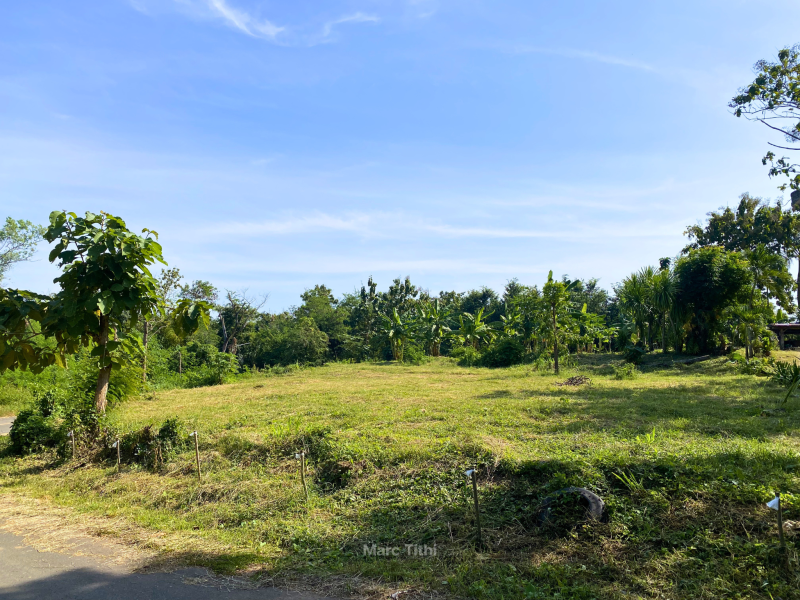 รูปที่2 ต้องการขายที่ดินเปล่า ท่าพล เมืองเพชรบูรณ์ ราคา 790,000 บาท