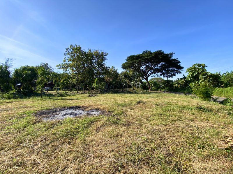 รูปที่3 ต้องการขายที่ดินเปล่า ท่าพล เมืองเพชรบูรณ์ ราคา 790,000 บาท