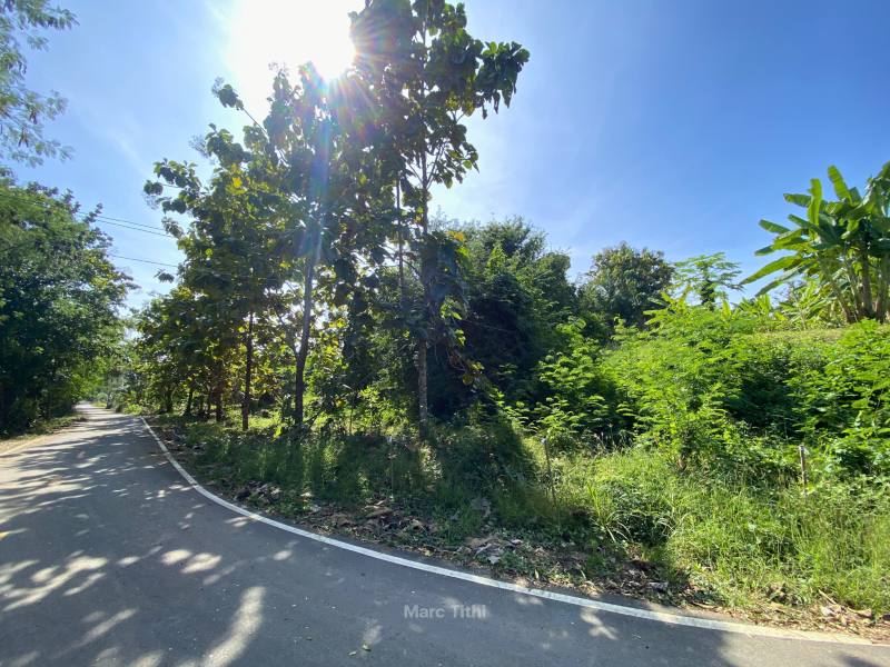 รูปที่7 ต้องการขายที่ดินเปล่า ท่าพล เมืองเพชรบูรณ์ ราคา 790,000 บาท