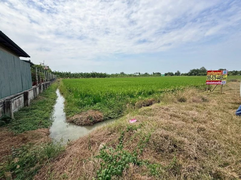รูปที่2 ต้องการขายที่ดินเปล่า ระแหง ลาดหลุมแก้ว ราคา 6,000,000 บาท
