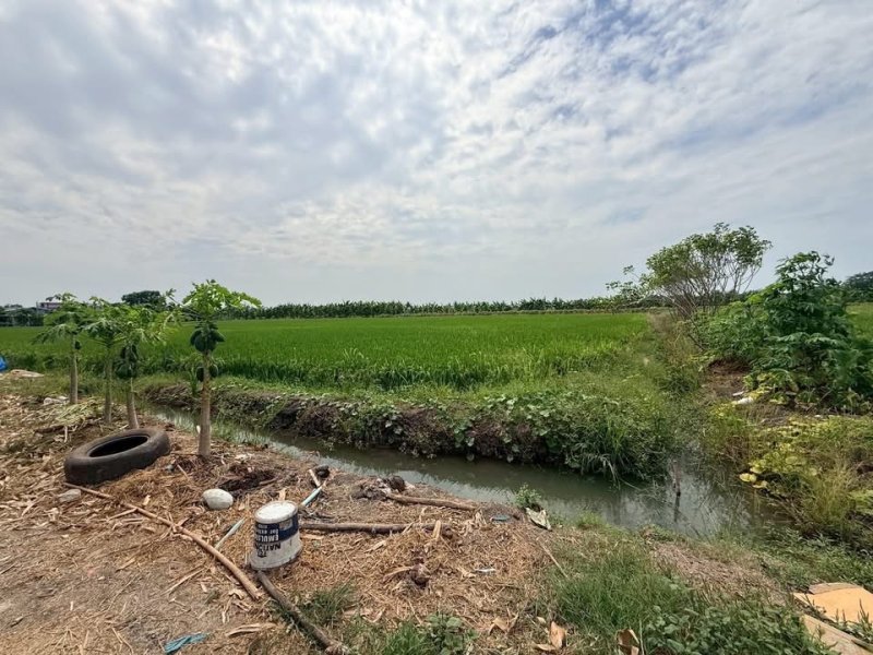 รูปที่3 ต้องการขายที่ดินเปล่า ระแหง ลาดหลุมแก้ว ราคา 6,000,000 บาท