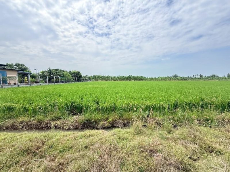 รูปที่4 ต้องการขายที่ดินเปล่า ระแหง ลาดหลุมแก้ว ราคา 6,000,000 บาท