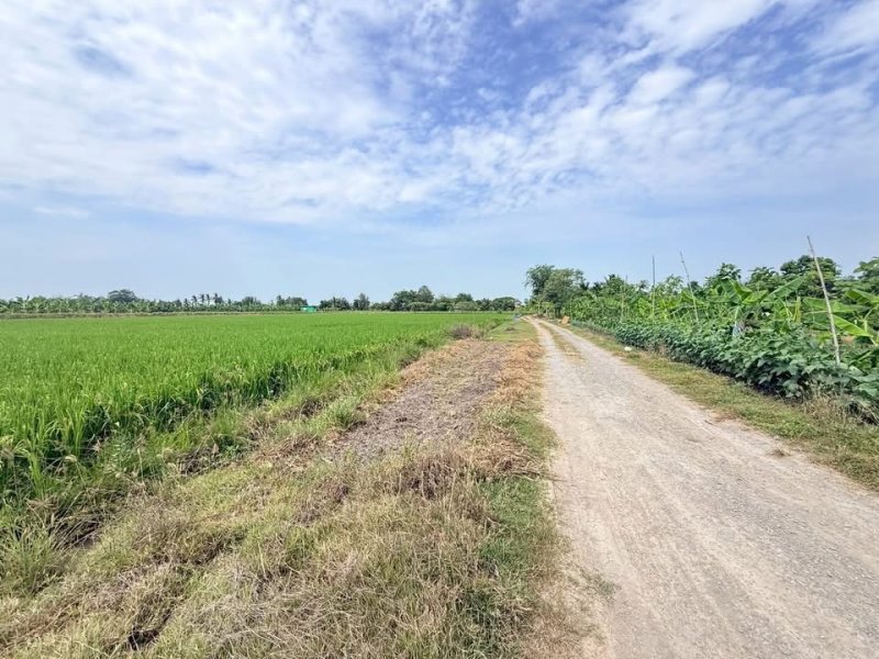 รูปที่5 ต้องการขายที่ดินเปล่า ระแหง ลาดหลุมแก้ว ราคา 6,000,000 บาท