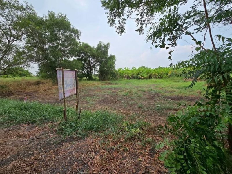 รูปที่3 ต้องการขายที่ดินเปล่า คลองหก คลองหลวง ราคา 400,000 บาท