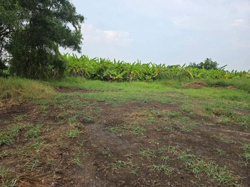 รูปที่5 ต้องการขายที่ดินเปล่า คลองหก คลองหลวง ราคา 400,000 บาท