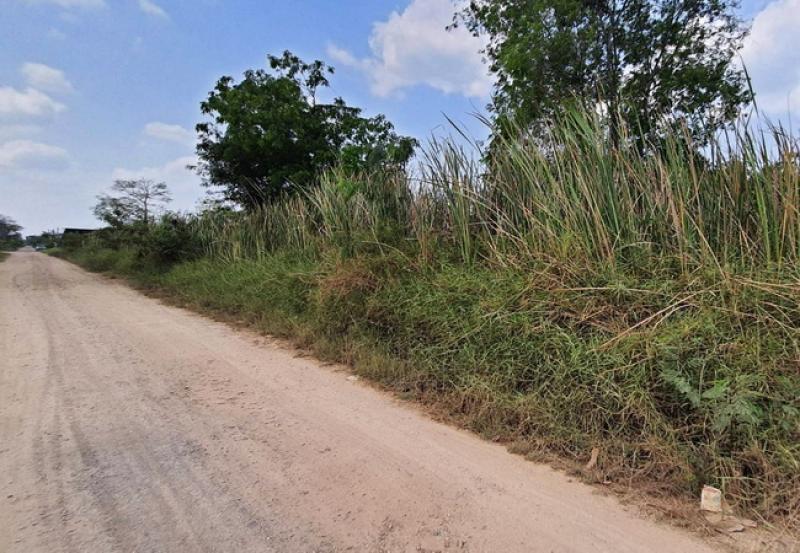 รูปที่2 ต้องการขายที่ดินเปล่า คลองหก คลองหลวง ราคา 6,000,000 บาท