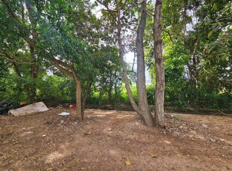 รูปที่4 ต้องการขายบ้านพร้อมที่ดิน ท่าขอนยาง กันทรวิชัย ราคา 13,000,000 บาท