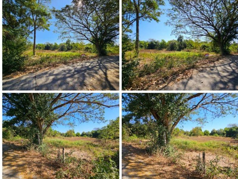 รูปที่4 ต้องการขายที่ดินเปล่า หมากแข้ง เมืองอุดรธานี ราคา 1,800,000 บาท