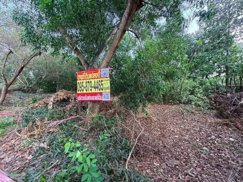 รูปที่2 ต้องการขายที่ดินเปล่า คลองห้า คลองหลวง ราคา 950,000 บาท
