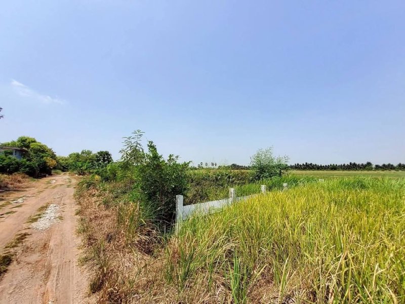 รูปที่3 ต้องการขายที่ดินเปล่า บ่อเงิน ลาดหลุมแก้ว ราคา 420,000 บาท