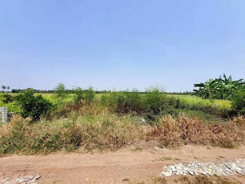 รูปที่5 ต้องการขายที่ดินเปล่า บ่อเงิน ลาดหลุมแก้ว ราคา 420,000 บาท