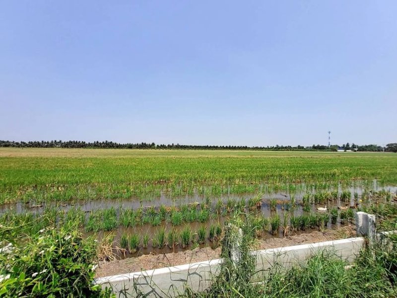 รูปที่6 ต้องการขายที่ดินเปล่า บ่อเงิน ลาดหลุมแก้ว ราคา 420,000 บาท