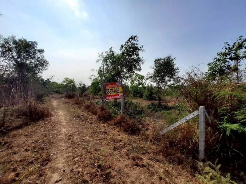 รูปที่2 ต้องการขายที่ดินเปล่า หนองสามวัง หนองเสือ ราคา 900,000 บาท