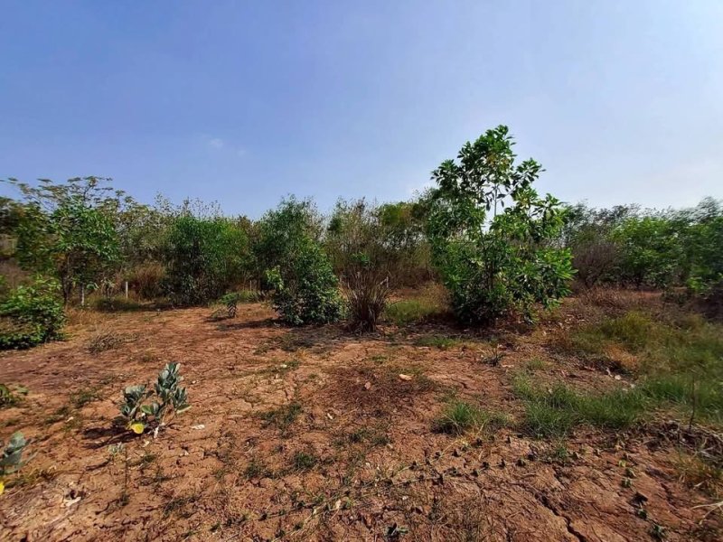 รูปที่3 ต้องการขายที่ดินเปล่า หนองสามวัง หนองเสือ ราคา 900,000 บาท