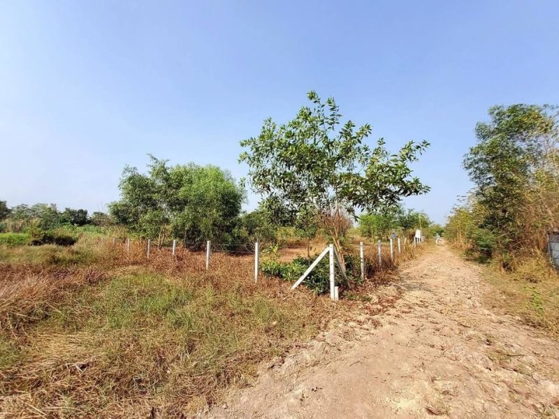 รูปที่4 ต้องการขายที่ดินเปล่า หนองสามวัง หนองเสือ ราคา 900,000 บาท