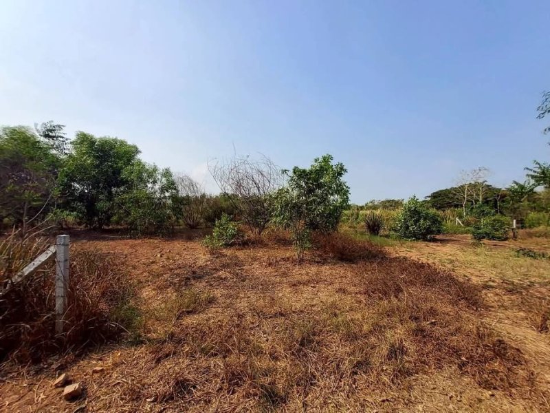 รูปที่5 ต้องการขายที่ดินเปล่า หนองสามวัง หนองเสือ ราคา 900,000 บาท