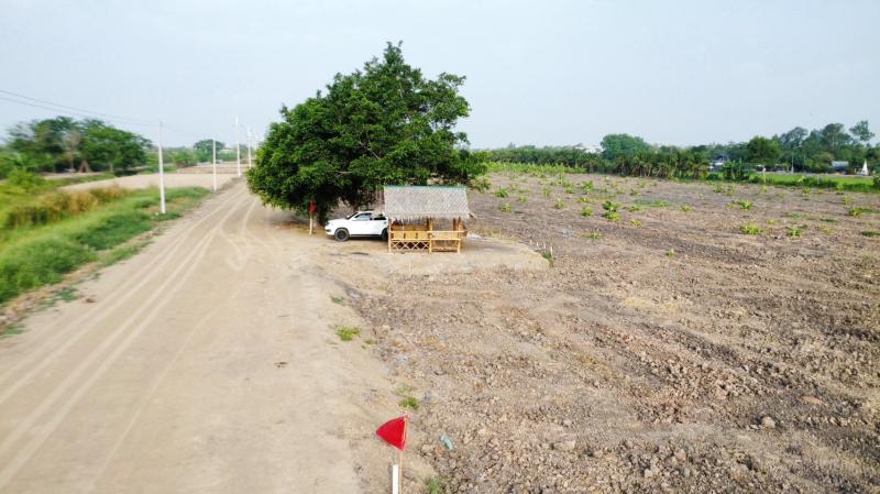 รูปที่5 ต้องการขายที่ดินเปล่า บึงบา หนองเสือ ราคา 1,690,000 บาท