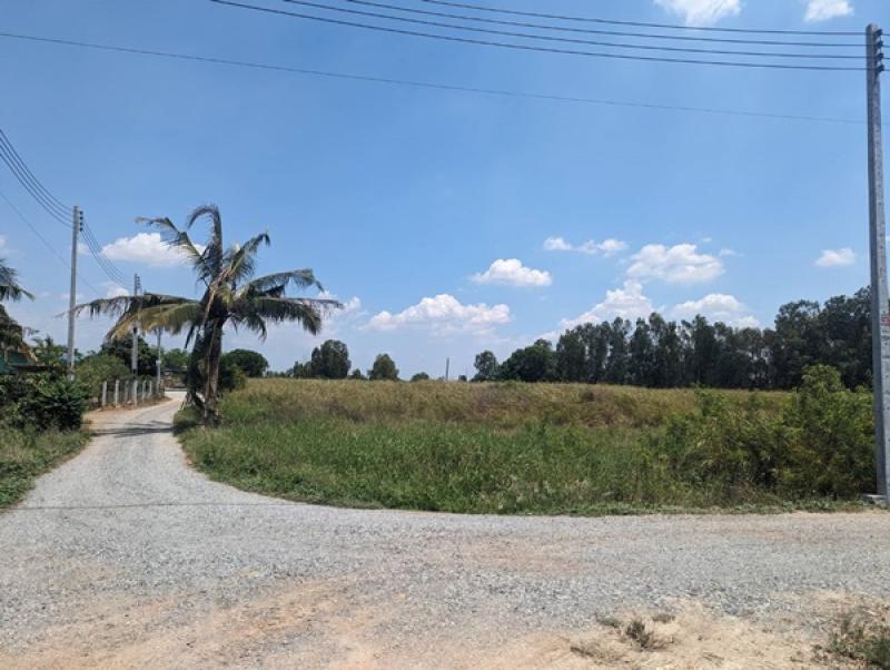 รูปที่3 ต้องการขายที่ดินเปล่า โคกเพลาะ พนัสนิคม ราคา 2,590,000 บาท